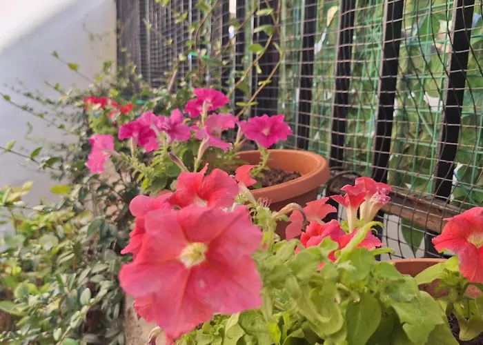 Casa Sofia Lejlighed